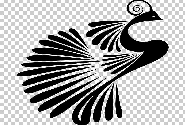 Pavo PNG, Clipart, Beak, Bird, Black And White, Cartoon, Clip Art Free PNG Download