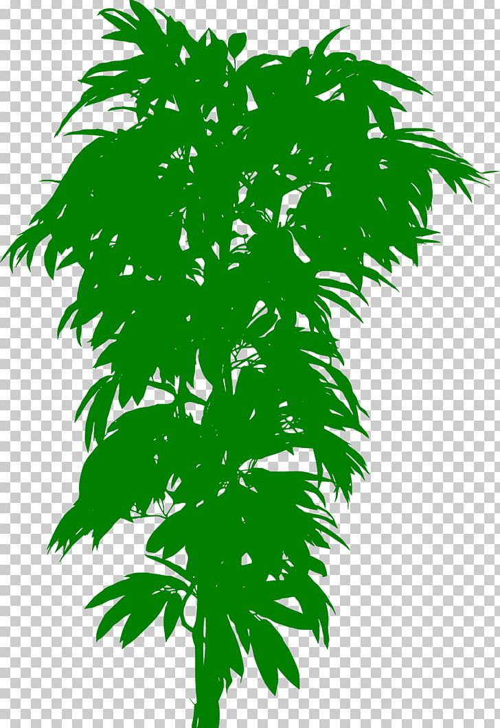 Plant Bonsai Treelet Trunk Leaf PNG, Clipart, 300 Dpi, Artificial Flower, Arts, Bonsai, Box Free PNG Download