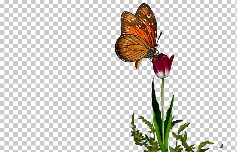 Monarch Butterfly PNG, Clipart, Biology, Brushfooted Butterflies, Flower, Insect, Membrane Free PNG Download