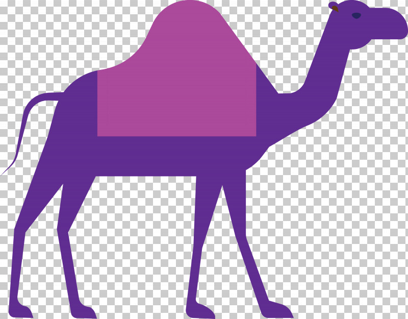 Camel Ramadan Arabic Culture PNG, Clipart, Arabian Camel, Arabic Culture, Camel, Camelid, Purple Free PNG Download