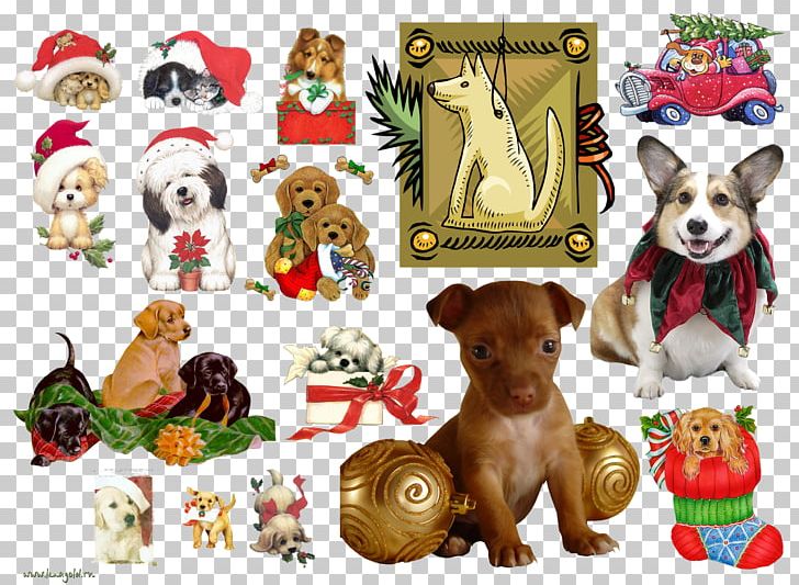 Dog Puppy Pet New Year PNG, Clipart, 2018, Animal, Animals, Canidae, Carnivoran Free PNG Download