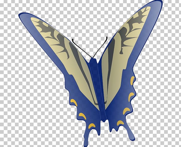Butterfly Free Content PNG, Clipart, Butterfly, Butterfly Images Free, Computer Icons, Download, Drawing Free PNG Download