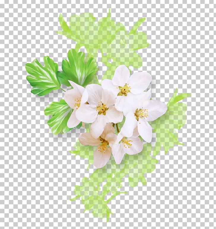 Floral Design Drawing Flower White Green PNG, Clipart, Blossom, Branch, Cartoon, Color, Cut Flowers Free PNG Download