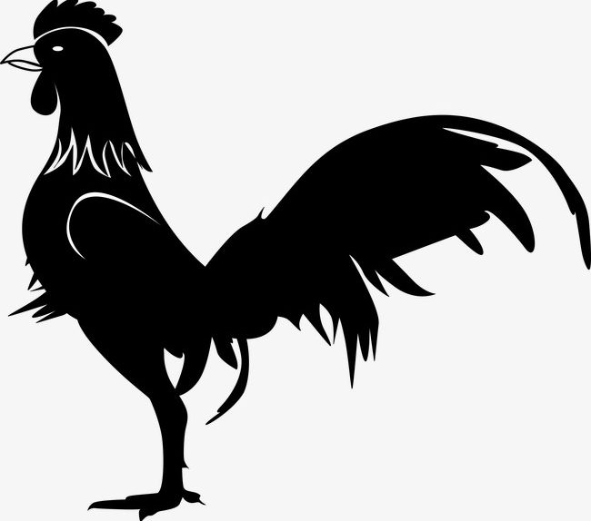 Cock PNG, Clipart, 2017, Animal, Cock, Cock Clipart, Decorative Free PNG Download