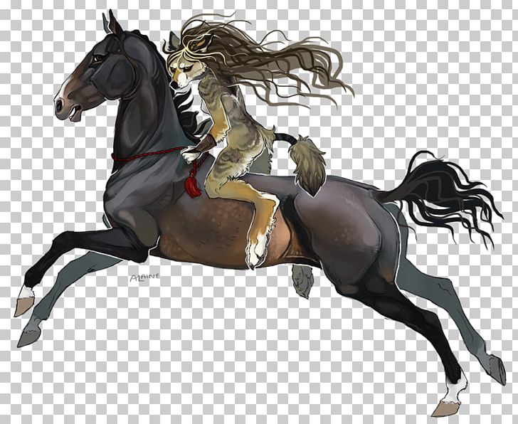 Mustang English Riding Rein Stallion Equestrian PNG, Clipart, Bridle, English Riding, Equestrian, Equestrianism, Equestrian Sport Free PNG Download