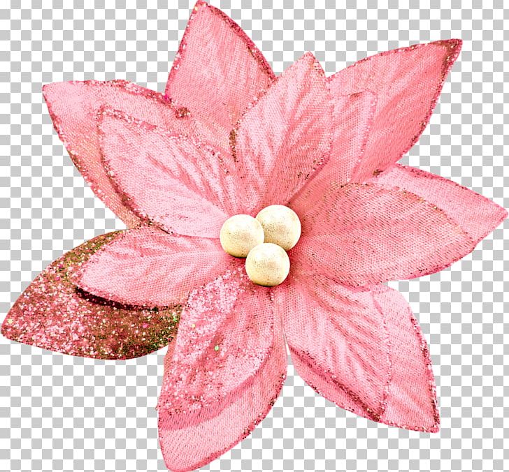 Pink Christmas Eve Festival Flower PNG, Clipart, Blue, Christmas, Christmas Eve, Color, Cut Flowers Free PNG Download