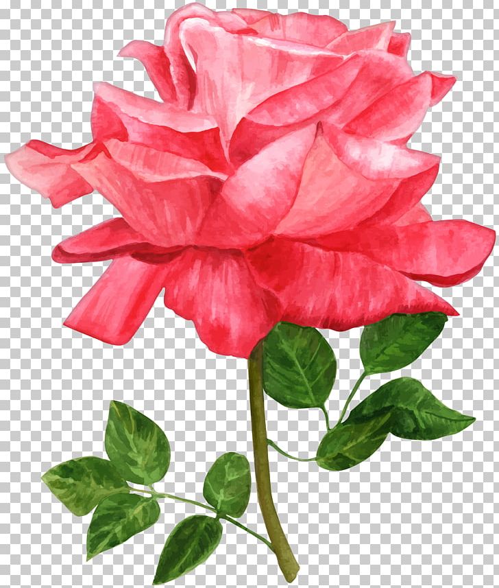 Watercolour Flowers Watercolor Painting Drawing PNG, Clipart, Annual Plant, Art, Artificial Flower, China Rose, Cut Flowers Free PNG Download