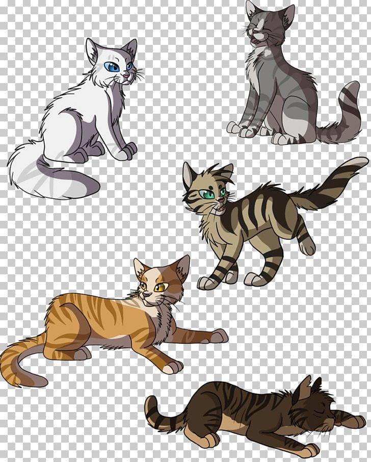 Kitten Golden State Warriors ThunderClan Cat PNG, Clipart,  Free PNG Download