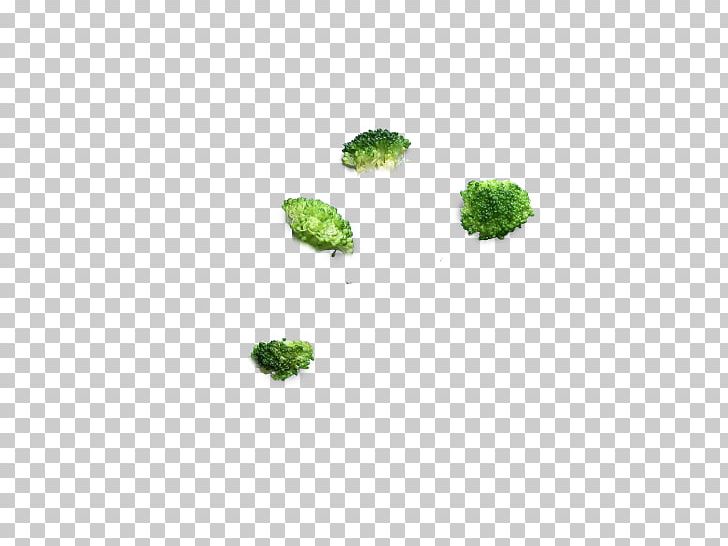 Organism Tree PNG, Clipart, Broccoli, Grass, Green, Nature, Organism Free PNG Download