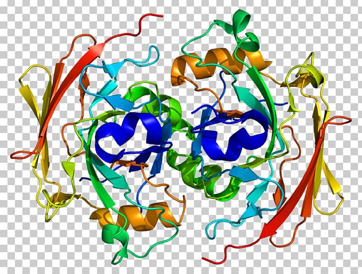 Protein Receptor Kinase Enzyme Fumarylacetoacetate Hydrolase PNG, Clipart, Art, Cell Membrane, Circle, Dictionary, Enzyme Free PNG Download