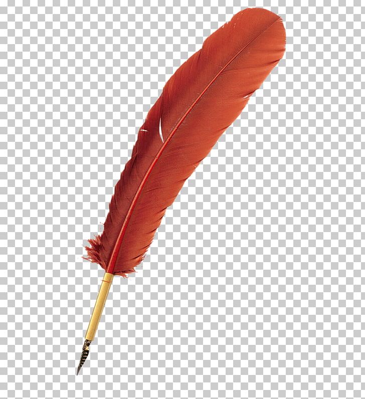 Quill Pen Bird PNG, Clipart, Bird, Calligraphy, Clip Art, Cursive, Feather Free PNG Download