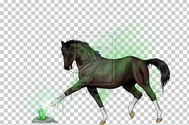 Stallion Mustang Foal Rein Mare PNG, Clipart, Bridle, Foal, Halter, Horse, Horse Harness Free PNG Download