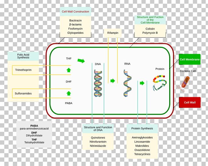 Antibiotics Bacteria Staphylococcus Aureus Disk Diffusion Test Pharmaceutical Drug PNG, Clipart, Antibiotics, Antiseptic, Area, Bacteria, Brand Free PNG Download