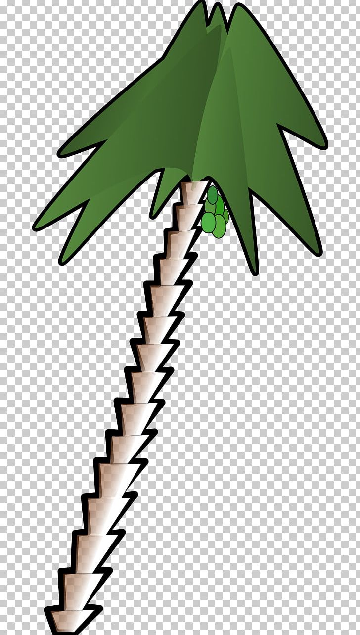 Arecaceae Cartoon PNG, Clipart, Arecaceae, Artwork, Beak, Blog, Branch Free PNG Download