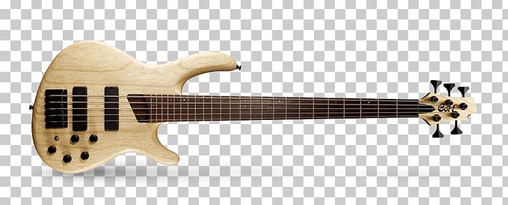 Fender Precision Bass Cort Guitars Bass Guitar Bassist PNG, Clipart, 5 Plus, Double Bass, Guitar Accessory, Jeff Berlin, Music Free PNG Download