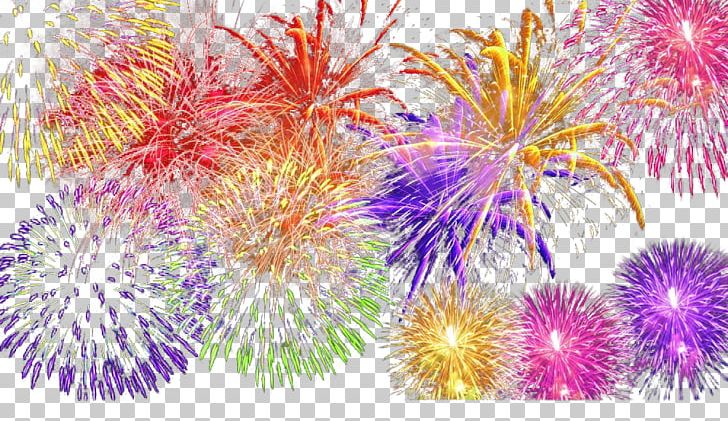 Fireworks PNG, Clipart, Adobe Fireworks, Aster, Chrysanths, Color Pencil, Color Powder Free PNG Download