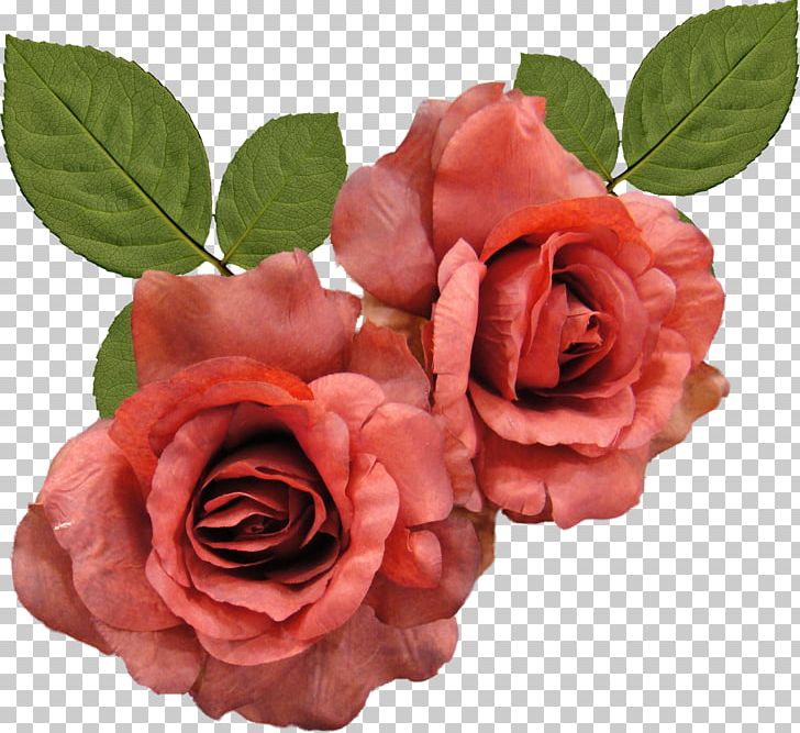 Flower Rose PNG, Clipart, Artificial Flower, Camellia, China Rose, Color, Cut Flowers Free PNG Download