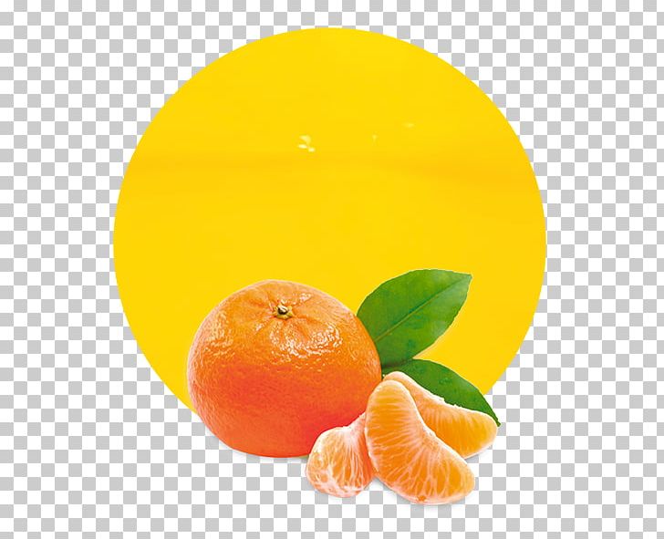 Learning Fruits Mandarin Orange Juice Education PNG, Clipart, Apple, Bitter Orange, Citric Acid, Citrus, Clementine Free PNG Download