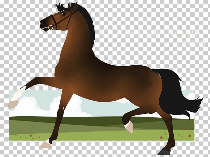 Stallion Mustang Foal Mare English Riding PNG, Clipart, Bridle, Colt, English Riding, Equestrian, Equestrianism Free PNG Download