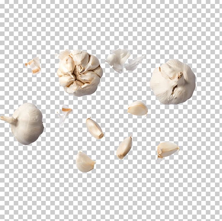 Garlic Food Ajoblanco Vegetable PNG, Clipart, Ajoblanco, Angle, Background White, Black White, Condiment Free PNG Download