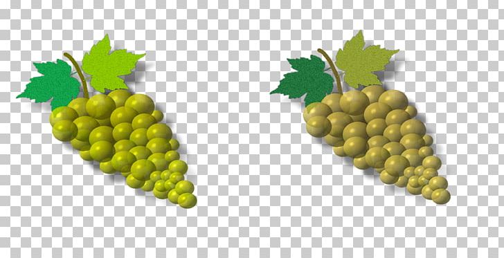 Grapevines Portable Network Graphics Food PNG, Clipart, Demet, Food, Fruit, Fruit Nut, Grape Free PNG Download