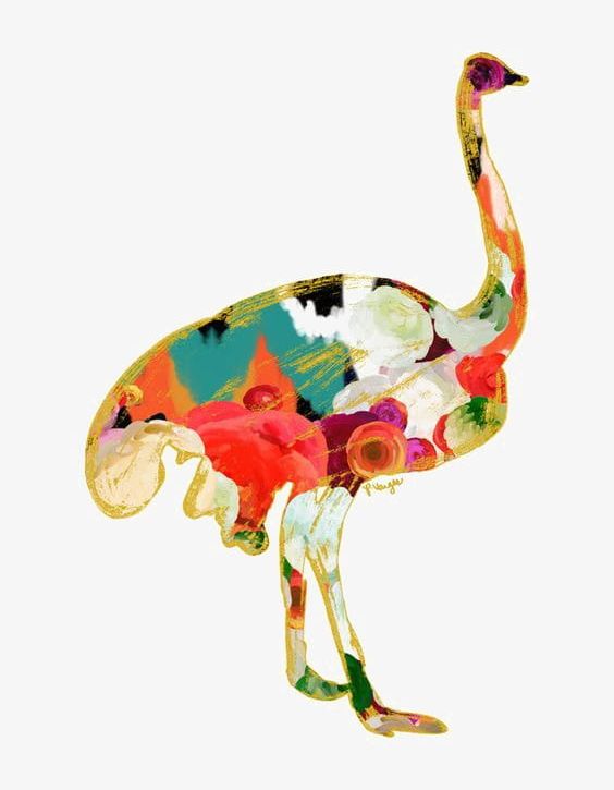 Ostrich PNG, Clipart, Animal, Art, Art Ostrich, Color, Color Ostrich Free PNG Download
