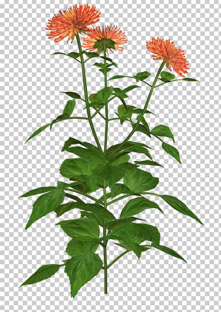 Visual Arts PNG, Clipart, Annual Plant, Art, Coneflower, Cut Flowers, Dahlia Free PNG Download