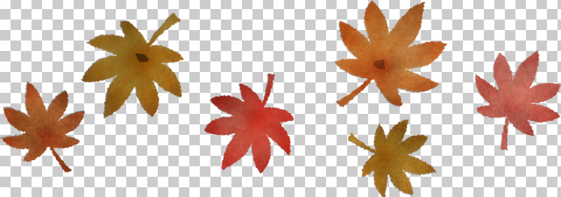 Maple Leaf PNG, Clipart, Biology, Leaf, Maple, Maple Leaf, Orange Free PNG Download