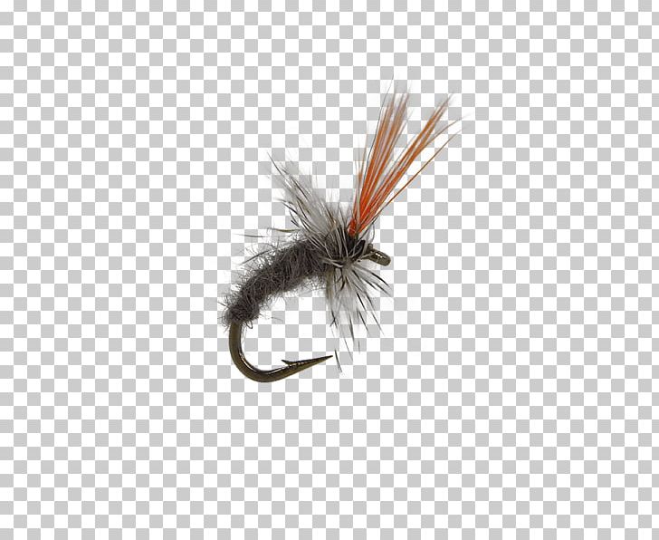 Artificial Fly Midge Magic Fly Fishing Insect PNG, Clipart, Artificial Fly, Black Fly, Discounts And Allowances, Fishing, Fly Free PNG Download