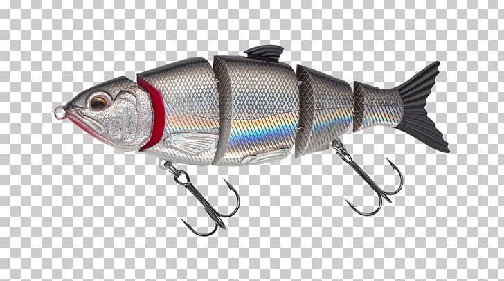Perch Herring Fish AC Power Plugs And Sockets PNG, Clipart, Ac Power Plugs And Sockets, Animals, Bony Fish, Fish, Fishing Bait Free PNG Download