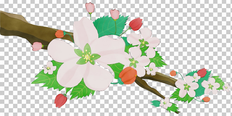 Holly PNG, Clipart, Bouquet, Branch, Cut Flowers, Flower, Flowers Free PNG Download