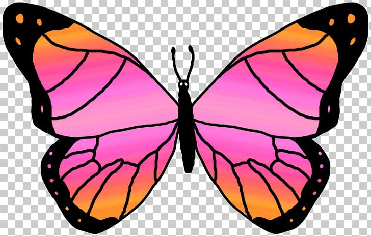 Butterfly Blog PNG, Clipart, Animation, Blog, Brush Footed Butterfly, Butterfly, Butterfly Clip Art Free PNG Download