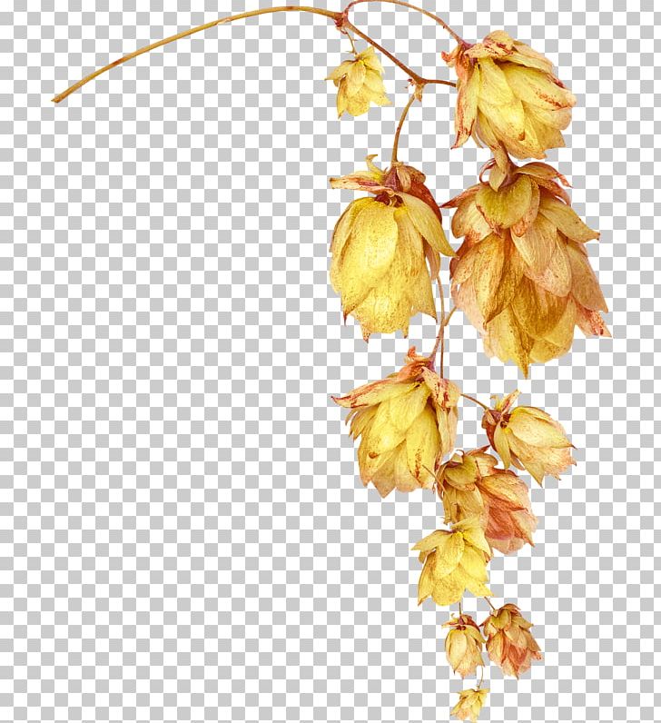 Flower Leaf Gold PNG, Clipart, Artificial Flower, Banana Leaves, Branch, Bunch, Bunch Of Free PNG Download