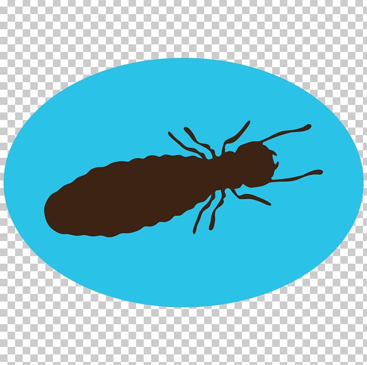Insect Pest Control Mosquito Termite PNG, Clipart, Academic Conference, Academic Institution, Academy, Animal, Animals Free PNG Download