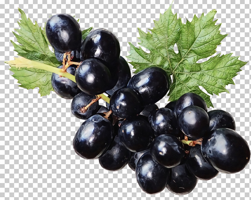 Grape Zante Currant Blueberry Vegetarian Cuisine Bilberry PNG, Clipart, Bilberry, Blueberry, Currant, Fruit, Grape Free PNG Download