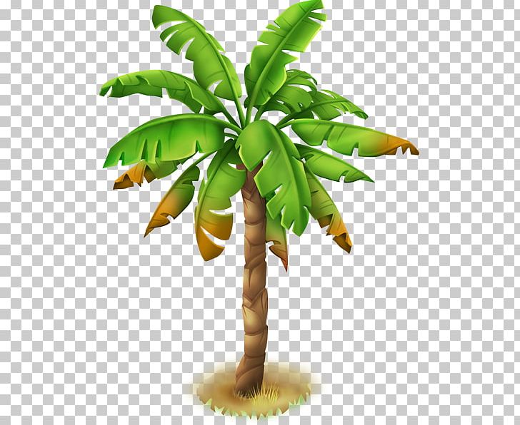 Ceroxyloideae Tree Calamoideae Coryphoideae PNG, Clipart, Arecaceae, Arecales, Calamoideae, Ceroxyloideae, Christmas Tree Free PNG Download