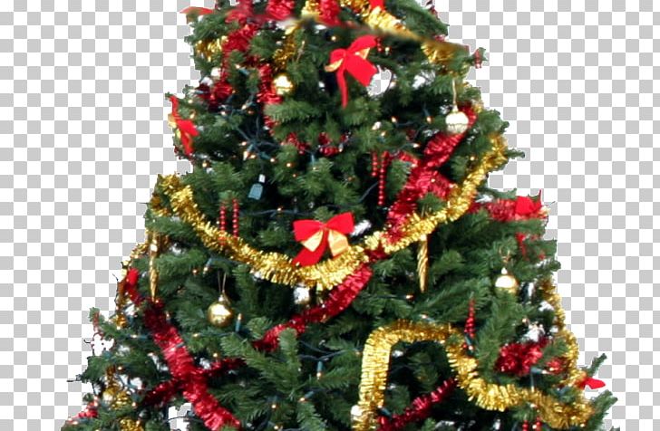 Christmas Tree Decorations Christmas Day Christmas Decoration Gift PNG, Clipart, Artificial Christmas Tree, Christmas, Christmas And Holiday Season, Christmas Day, Christmas Decoration Free PNG Download