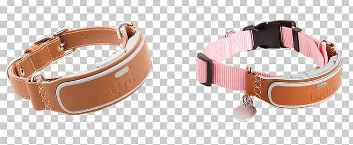 Dog Collar Cat Puppy PNG, Clipart, Activity Tracker, American Kennel Club, Animals, Bracelet, Collar Free PNG Download