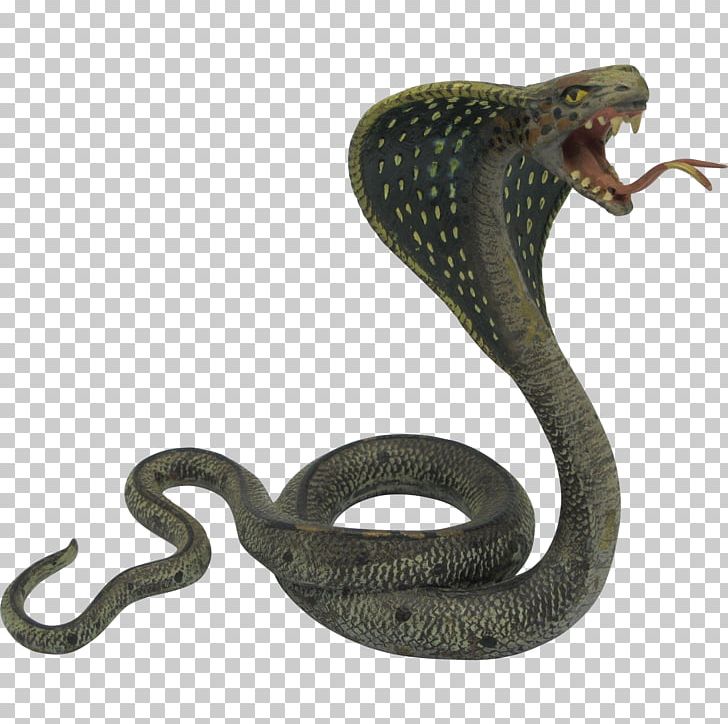 Indian Cobra Snake King Cobra PNG, Clipart, Animals, Cobra, Cobras, Colubridae, Download Free PNG Download