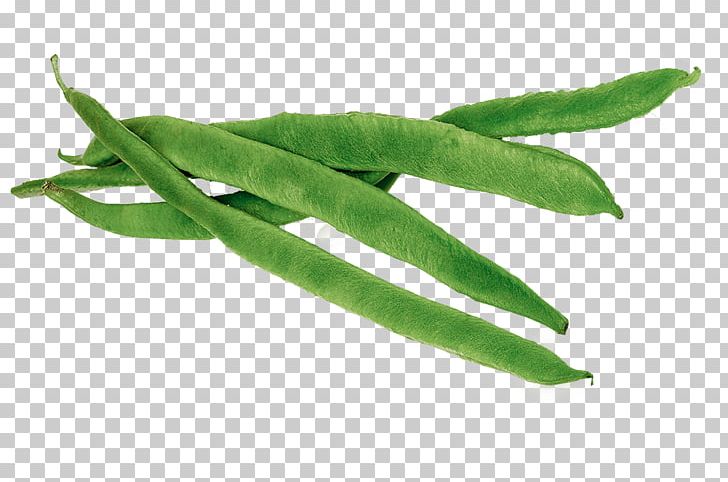 Runner Beans PNG, Clipart, Beans, Food, Vegetables Free PNG Download