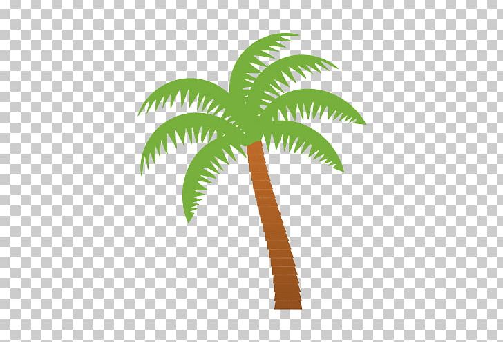Tree Leaf PNG, Clipart, Arecaceae, Arecales, Art, Coconut, Date Palm Free PNG Download