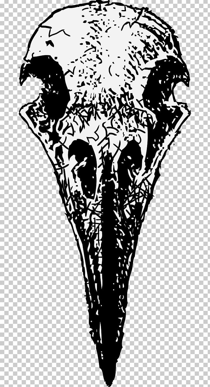 Drawing Death Funeral Home Skull PNG, Clipart, Art, Beak, Black And White, Cadaver, Death Free PNG Download