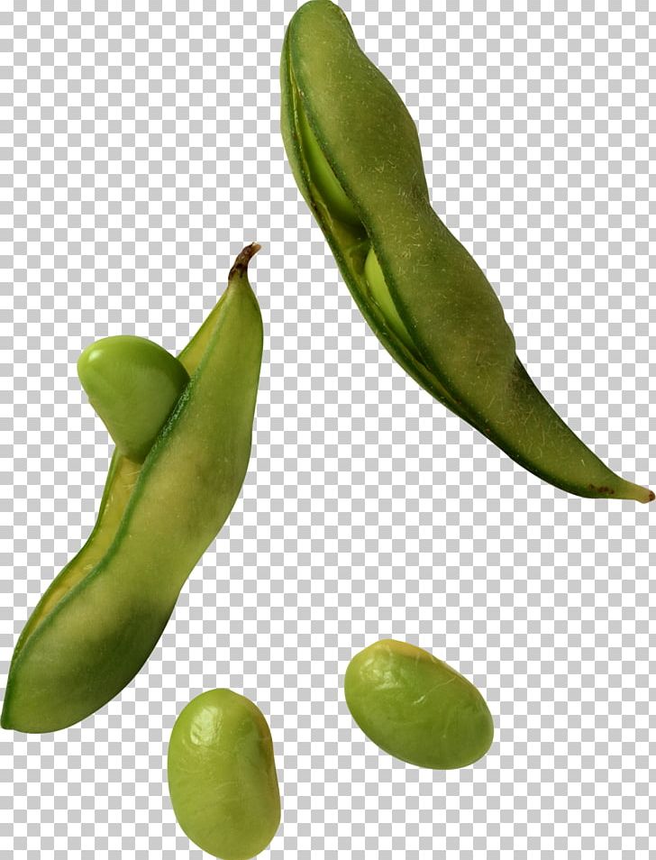 Edamame Soy Milk Soybean Sprout PNG, Clipart, Bean, Beans, Broad Bean, Commodity, Common Bean Free PNG Download