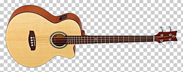 Twelve-string Guitar Acoustic-electric Guitar Fender Musical Instruments Corporation Cutaway PNG, Clipart, Amancio Ortega, Cuatro, Cutaway, Epiphone, Guitar Accessory Free PNG Download