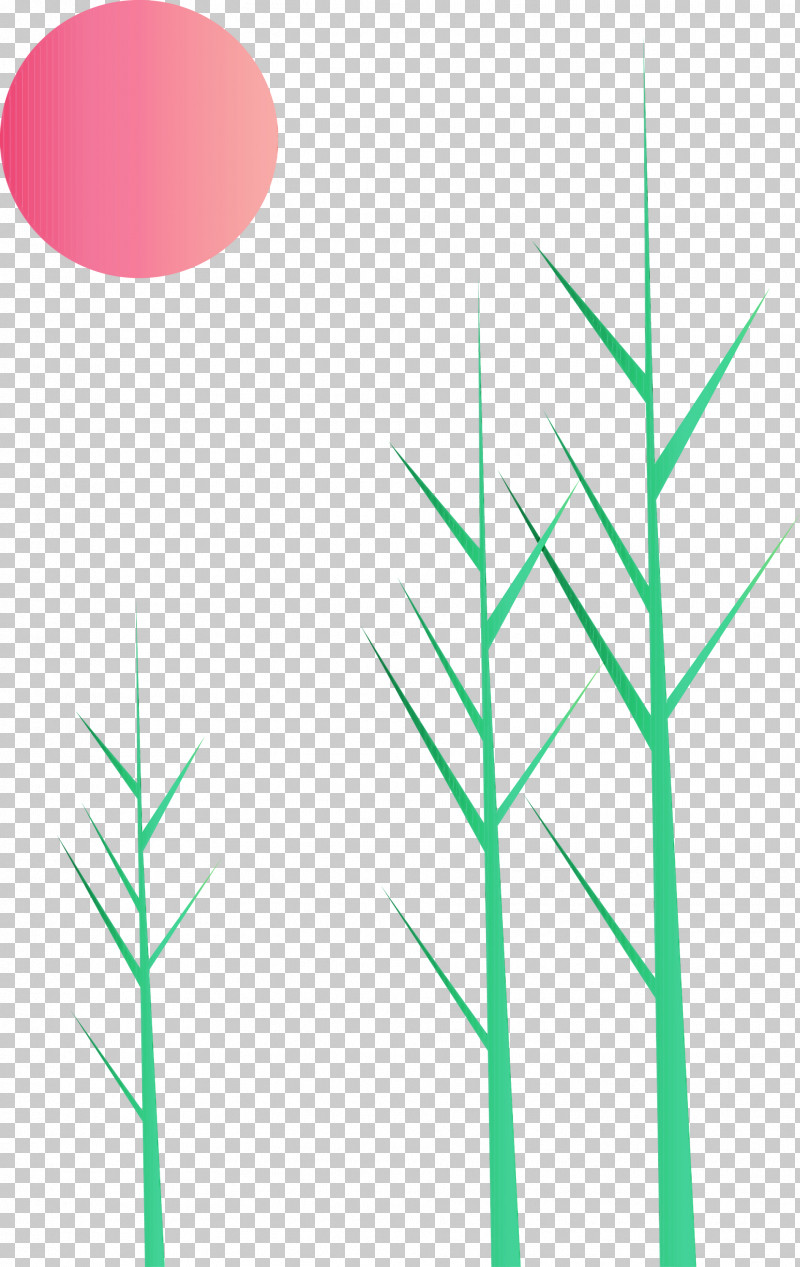 Green Line Leaf Grass Family Plant PNG, Clipart, Forest, Grass, Grass Family, Green, Leaf Free PNG Download
