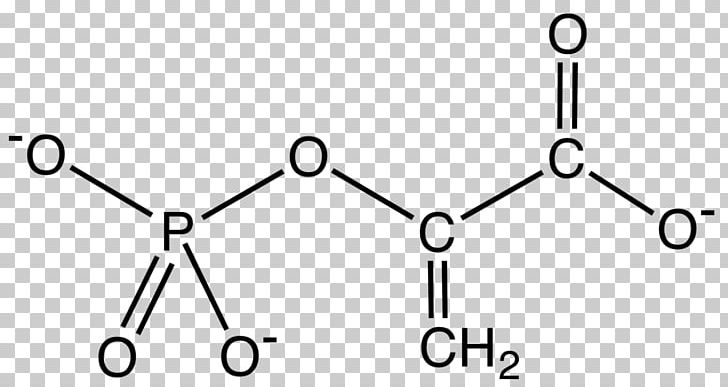 Asparagine Amino Acid Alanine Molecule Chemical Substance PNG, Clipart, Acid, Alanine, Amino Acid, Angle, Area Free PNG Download