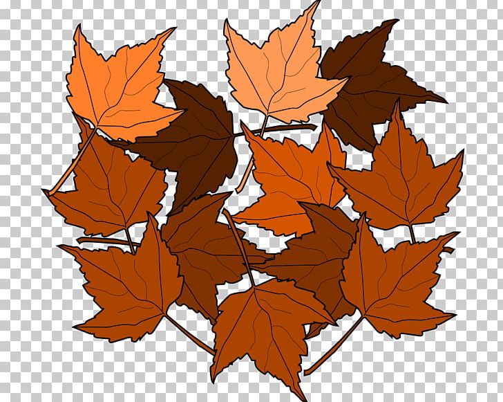 Autumn Leaf Color PNG, Clipart, Autumn, Autumn Leaf Color, Branch, Brown, Clip Art Free PNG Download