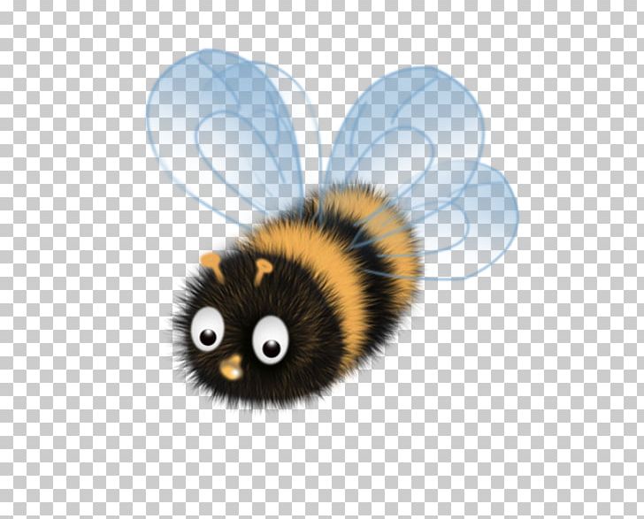Honey Bee PNG, Clipart, Arthropod, Bee, Carnivoran, Cartoon, Download Free PNG Download