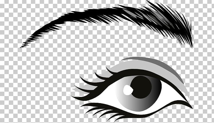 Human Eye PNG, Clipart, Black And White, Black Eye, Clip Art, Color, Drawing Free PNG Download