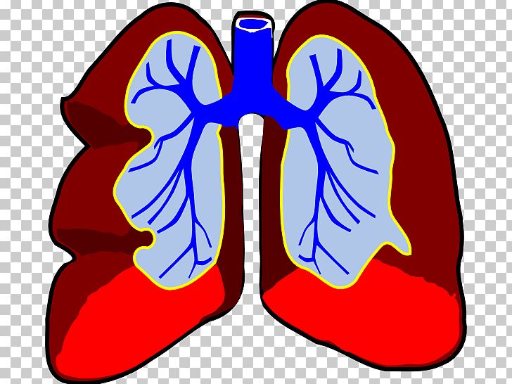 Lung Breathing PNG, Clipart, Area, Artwork, Breathing, Bronchus, Electric Blue Free PNG Download